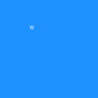 WinAds logo