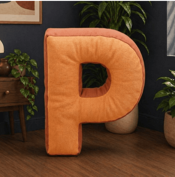 Placy AR App logo