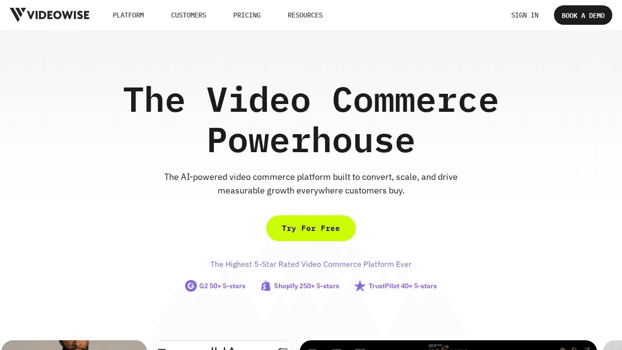 Videowise - Product Image