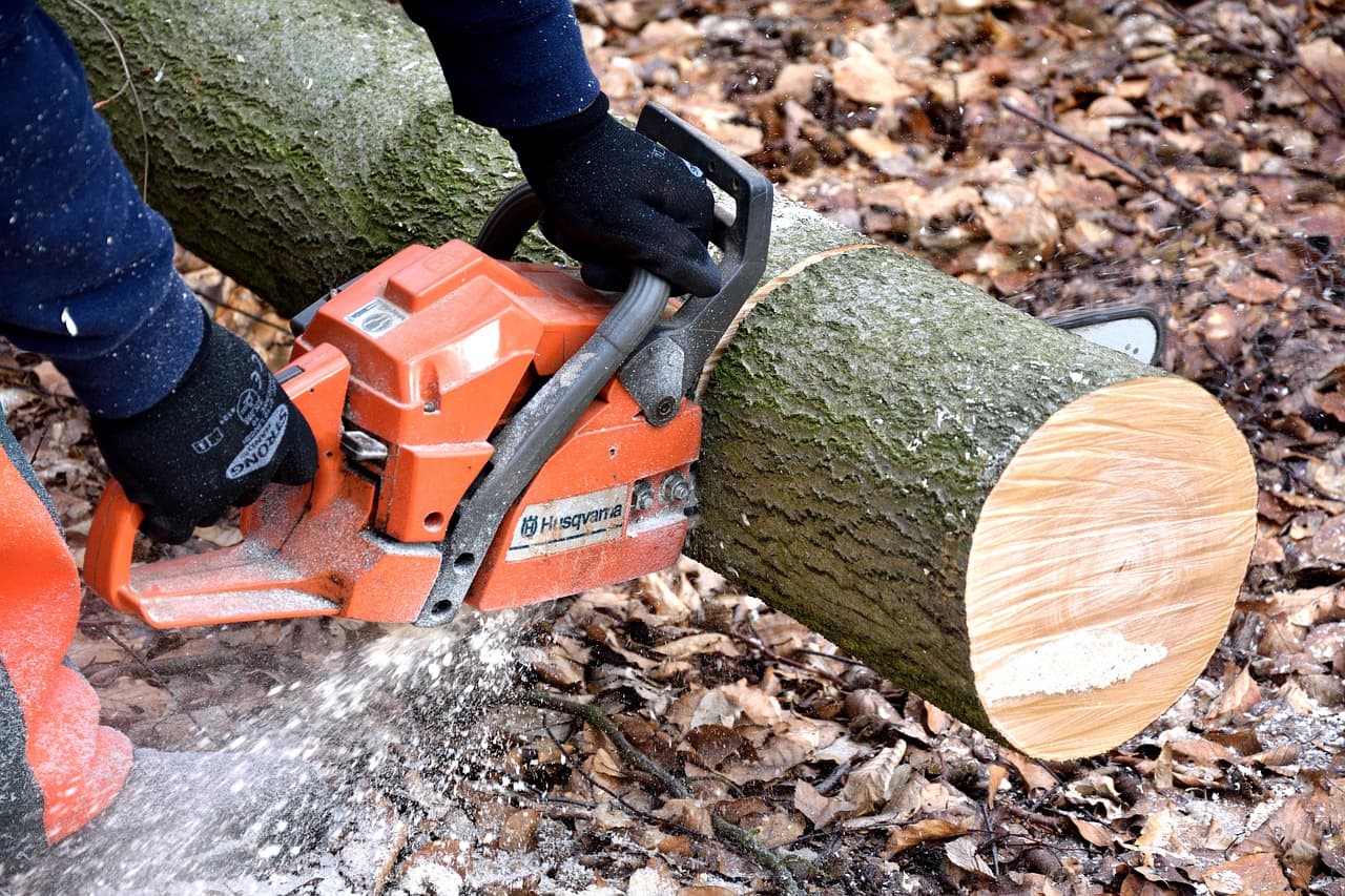 Laredo Trees - Product Image