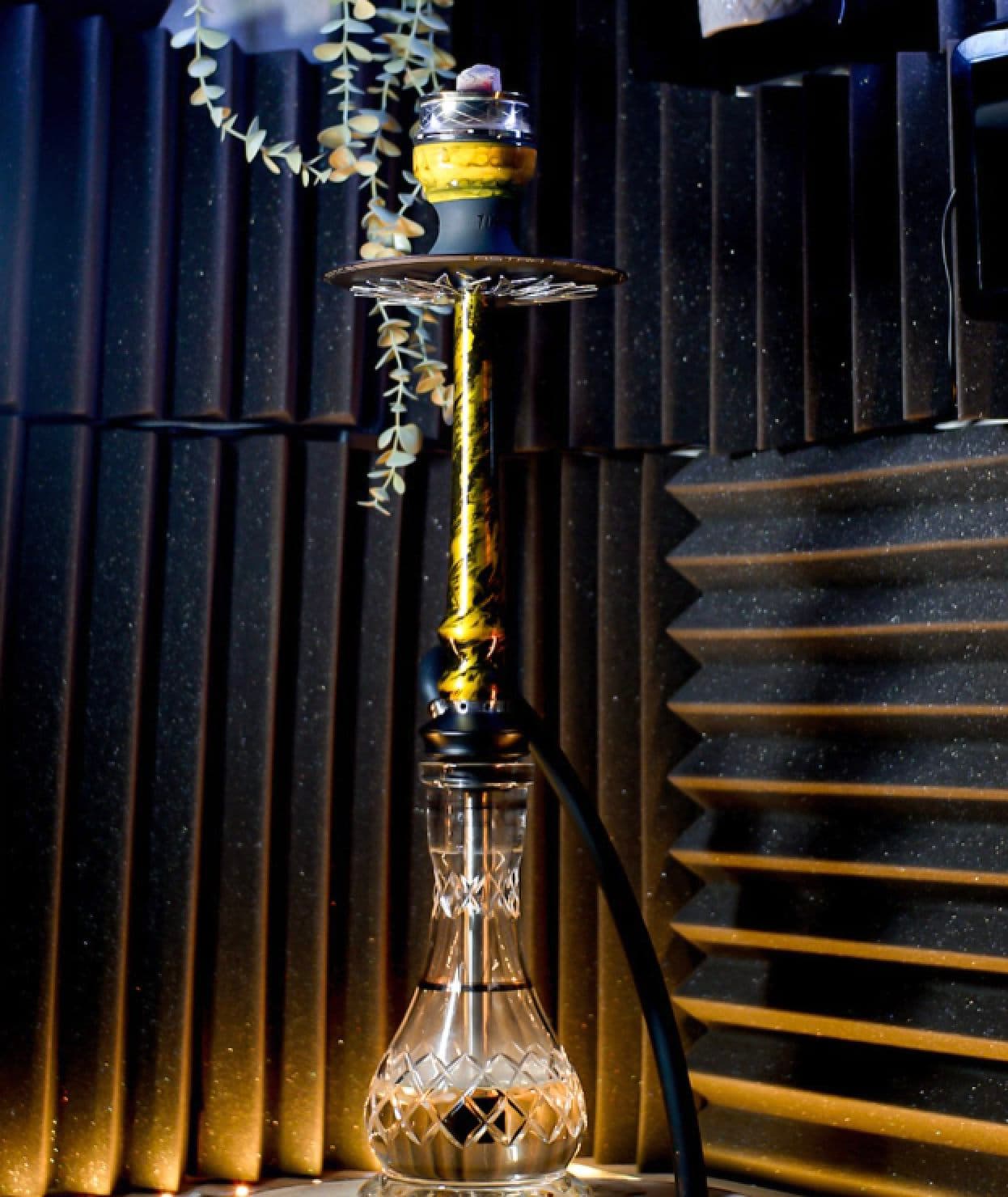 Tiaga - Product Image